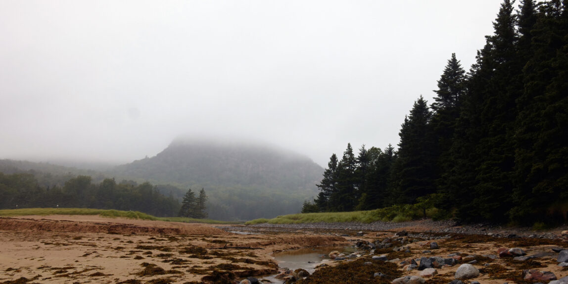 Beehive obscured by fog