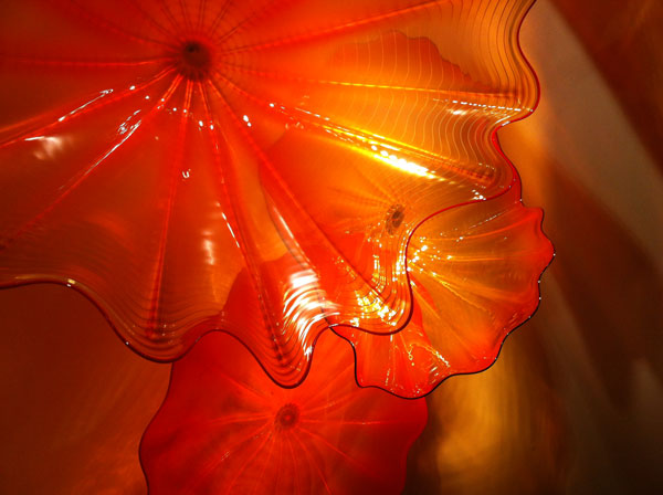 chihuly_collection_st_pete_fl_glass02