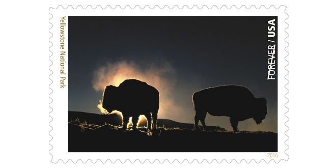 Image Source USPS : Yellowstone National Park